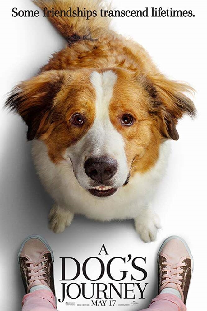 a dog's journey 3 movie